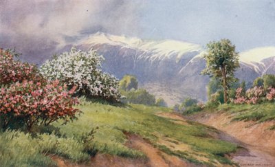 Le Pays des Roses - Unbekannt Unbekannt
